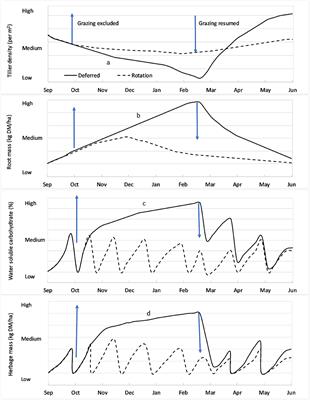 Vegetation Options for Increasing Resilience in Pastoral Hill Country